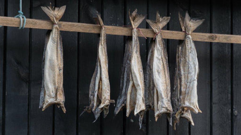 Fiskivinnuroyndir 2023