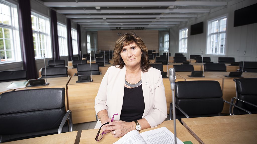 Framtíðarfulltrú styrkir sjálvsavgerðarrættin